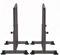 HMS Parallettes - Set van 2 - Zwart