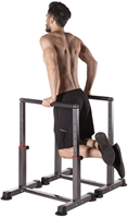 HMS Parallettes - Set van 2 - Zwart - Persoon Dips