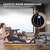 Fluid Rower Roeitrainer Apollo XL - Beuken - Gratis trainingsschema-3