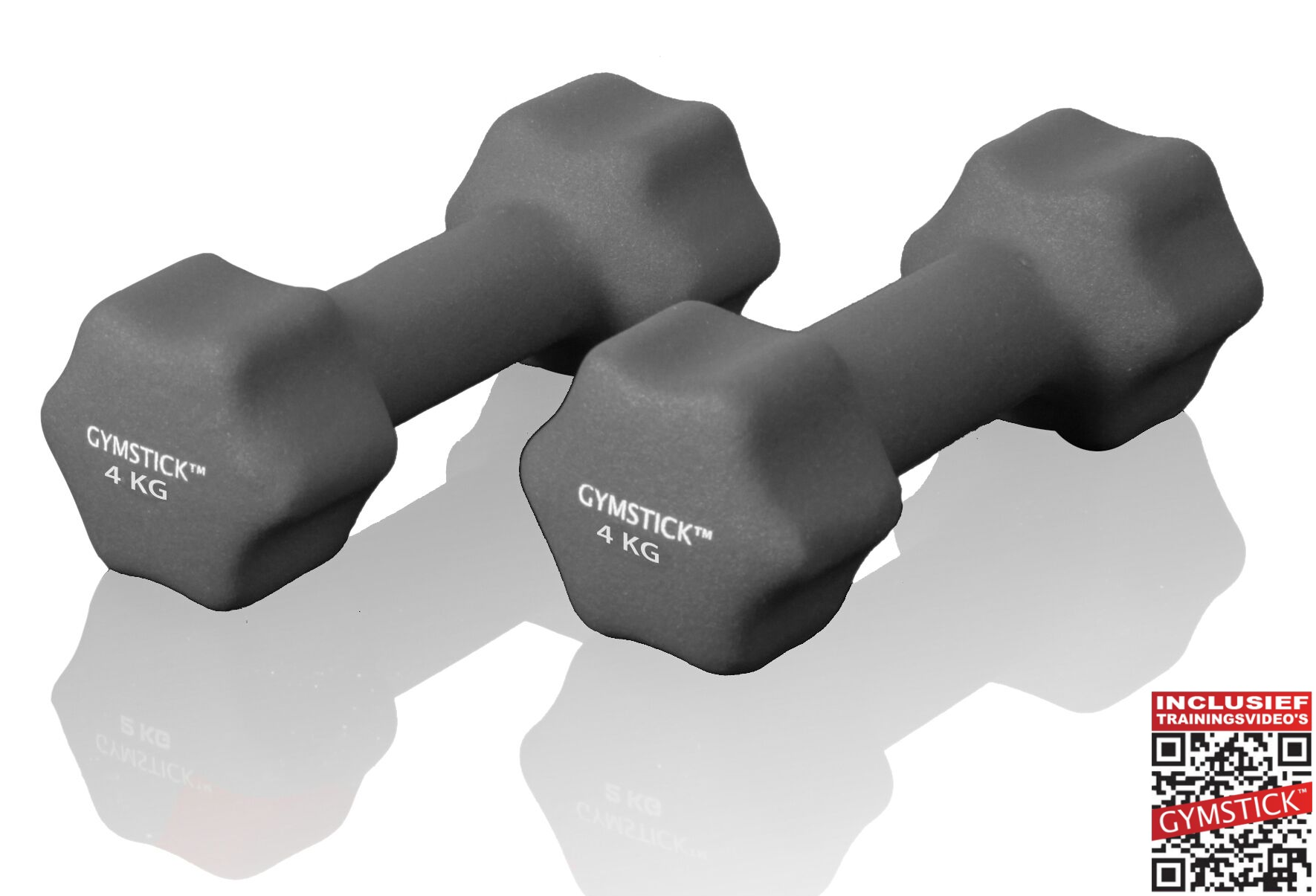 Gymstick dumbbell set (6 kg) + workout DVD