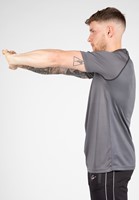 performance-t-shirt-gray