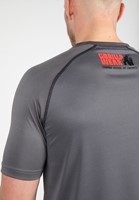 performance-t-shirt-gray