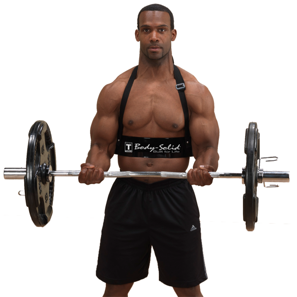 Body-Solid Biceps Bomber