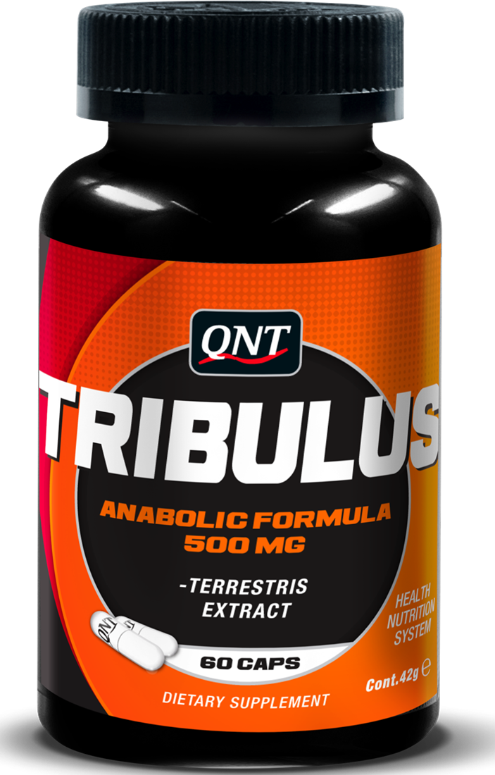 QNT Tribulus Terrestris (500 mg) 60 caps Fitnessapparaat.nl