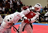 Taekwondo adidas bodyprotector