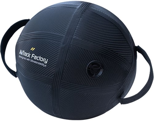 Aqualine Aquaball - Powerbag met Water - Zwart - M