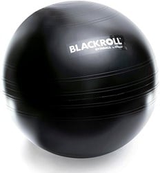 Blackroll Gymbal - Fitnessbal - Zwart - 65 cm