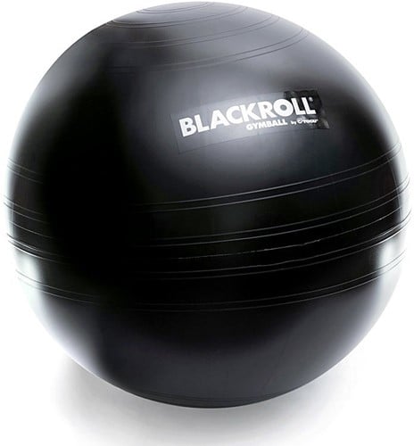 Blackroll Gymbal - Fitnessbal - Zwart - 65 cm