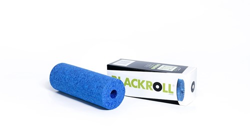 Blackroll Mini Foam Roller - 15 cm - Azuur Blauw-2