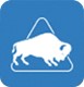 Buffalo