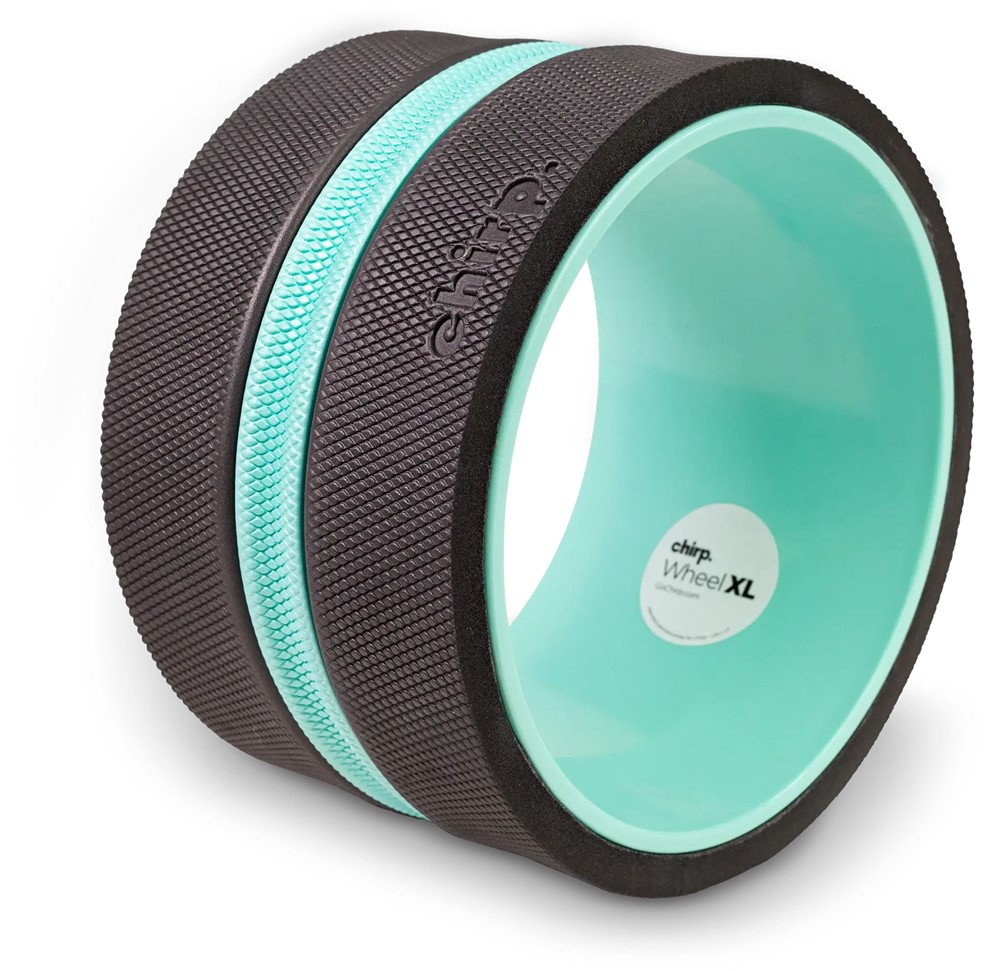 Chirp Wheel XL 10assage Wiel - 25 cm