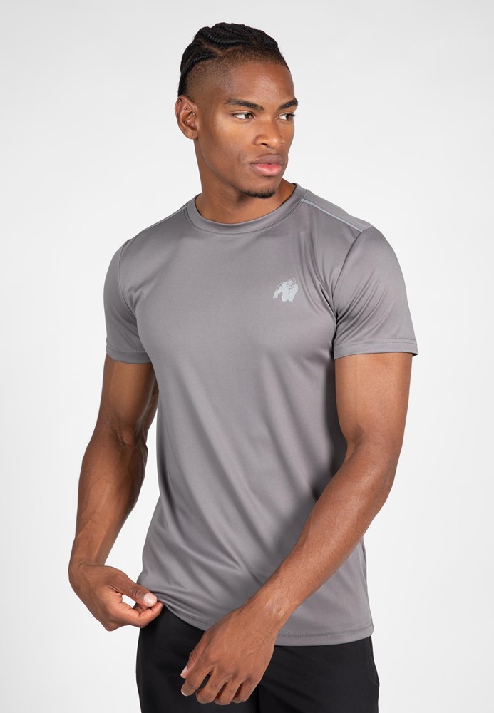Gorilla Wear Easton T-shirt - Grijs - 4XL
