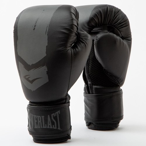 Everlast Prospect 2 Pad Kit - Bokshandschoenen & Pad - Zwart/Grijs