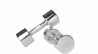 Lifemaxx Chroom Dumbbell Set - 2 x 5 kg