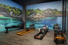Fitnessapparatuur kopen bij Fitwinkel Arnhem? | Fitwinkels-6543