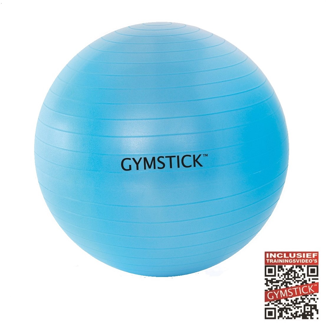 gekruld schrobben Fietstaxi Gymstick Active Fitnessbal - 65 cm - Met Online Trainingsvideo's |  Fitnessapparaat.nl