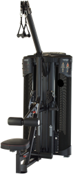 Inspire Maximum DUAL Krachtstation - Lat en Low Row