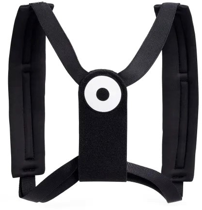 Posture PRO