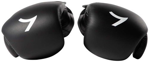Reeva PU-Leren (Kick)Boxing Gloves - Bokshandschoenen-2