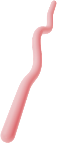 Bala Beam Halterstang - 7 kg - Blush/Roze-3
