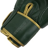 Super Pro Combat Gear Warrior SE Lederen (Kick)Bokshandschoenen - Groen/Goud