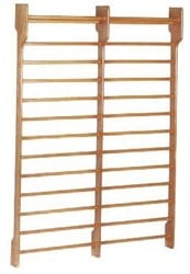 Toorx Dual Wallbar - Dubbel Wandrek