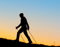 Toorx Fitness Nordic Walking Stokken