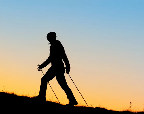 Toorx Fitness Nordic Walking Stokken