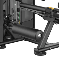Toorx Professional Leg Curl & Leg Extension PLX-9600-2