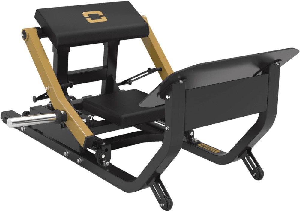 Toorx Professional Hip Thrust FWX-10300 - Butt Shaper Line