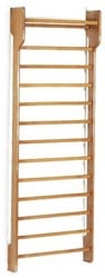 Toorx Single Wallbar - Wandrek